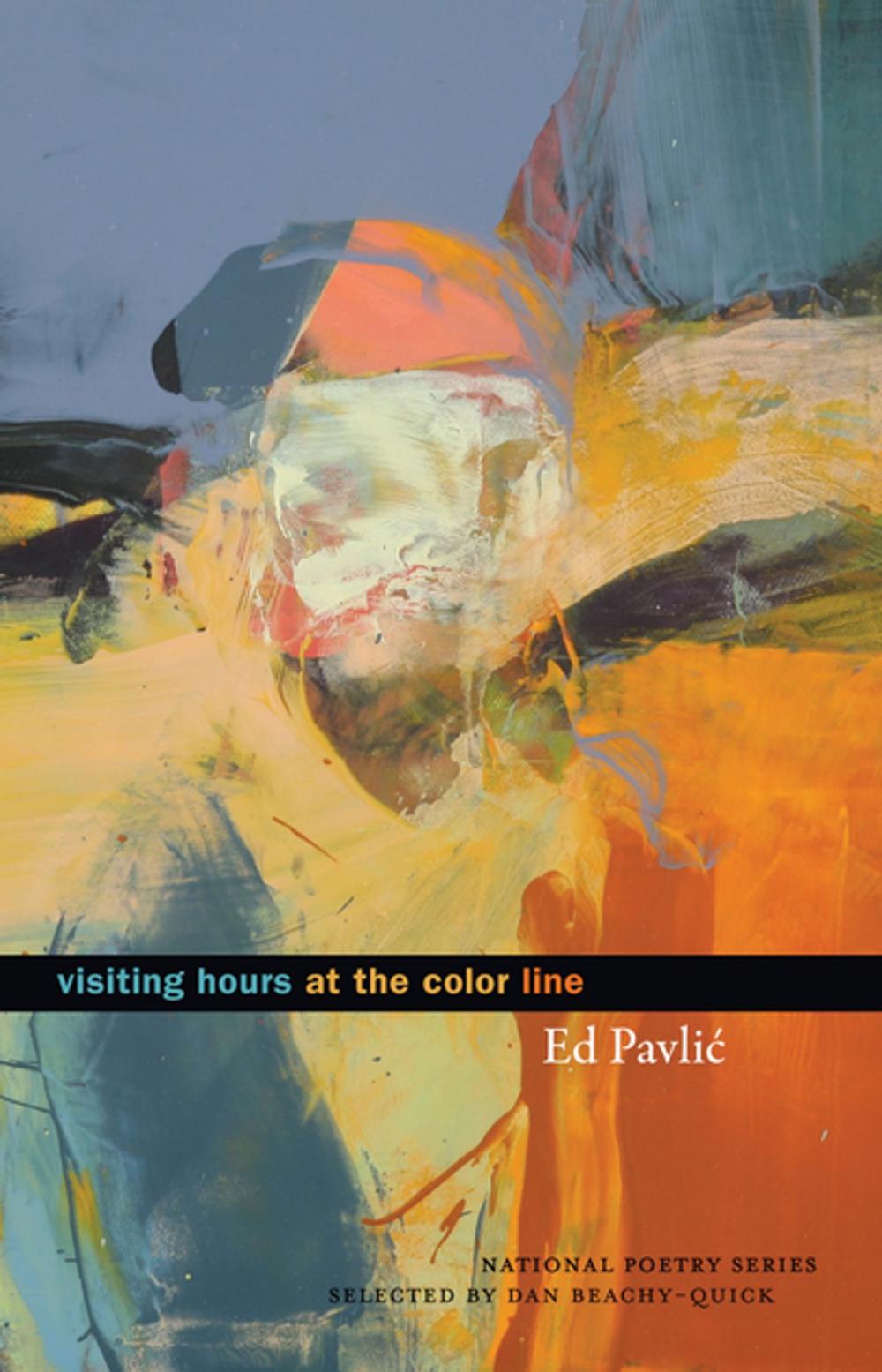 Big bigCover of Visiting Hours at the Color Line