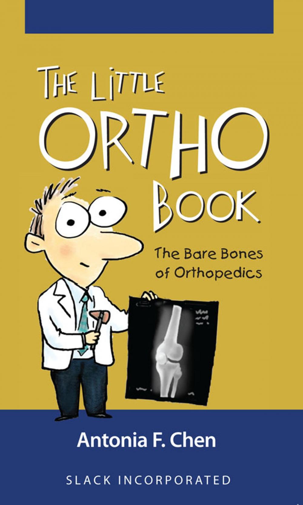 Big bigCover of The Little Ortho Book