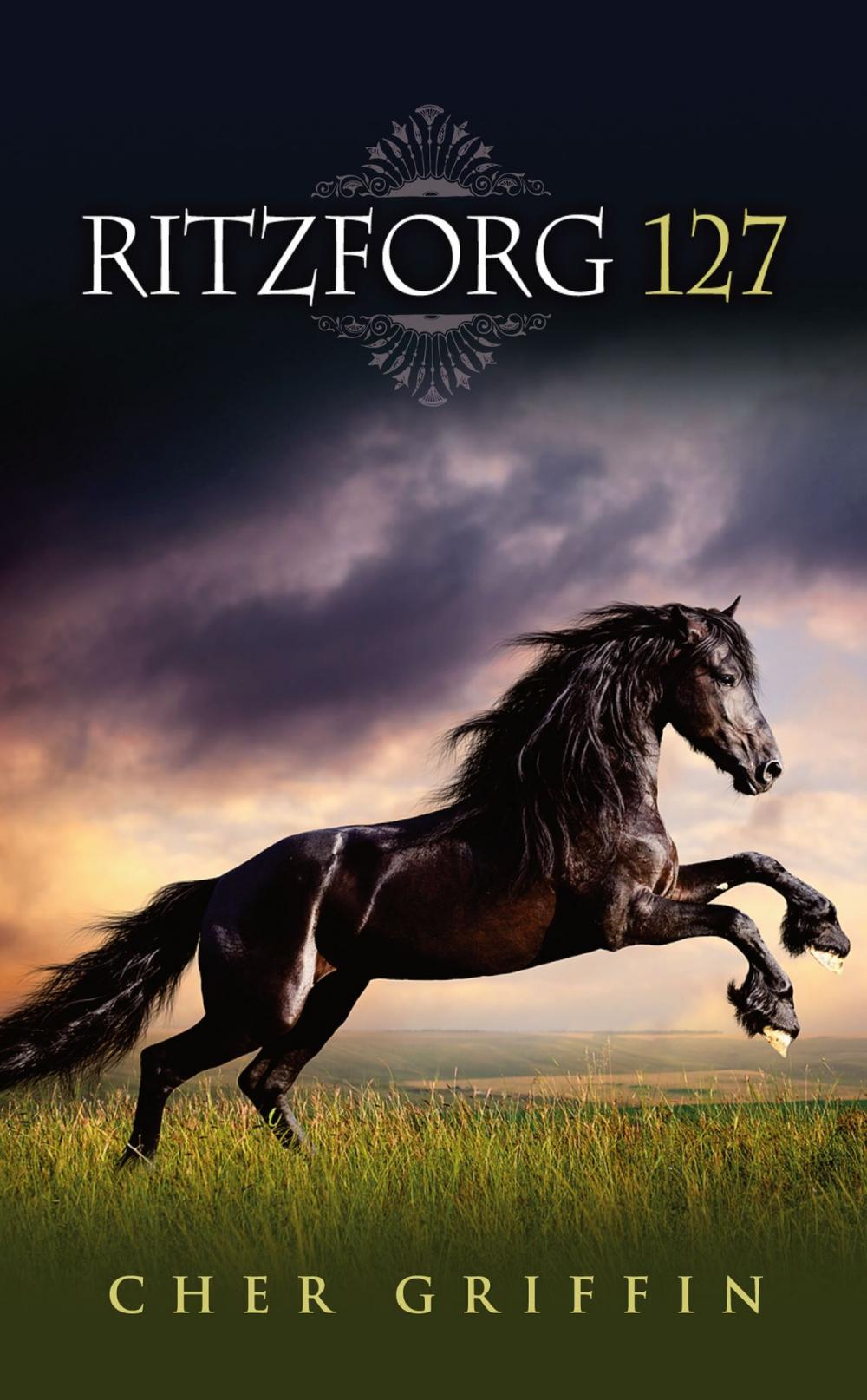 Big bigCover of Ritzforg 127