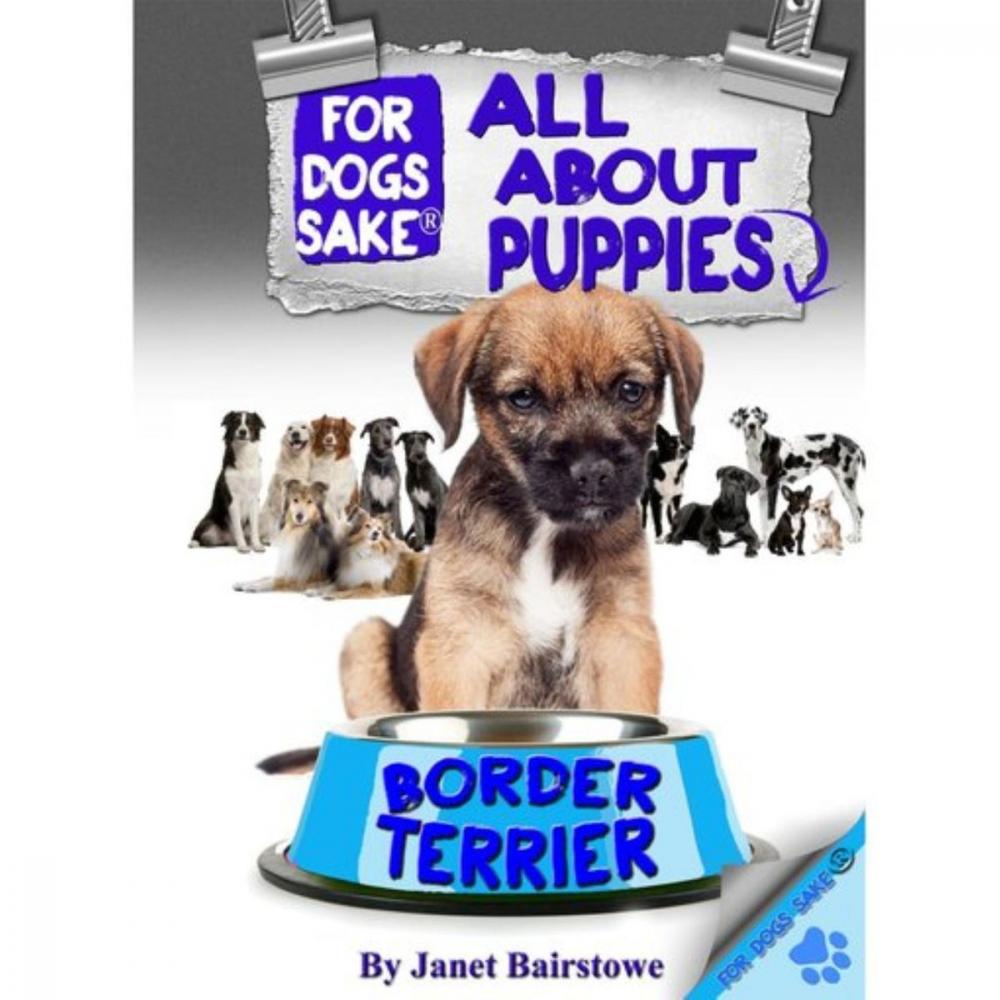 Big bigCover of All About Border Terrier Puppies