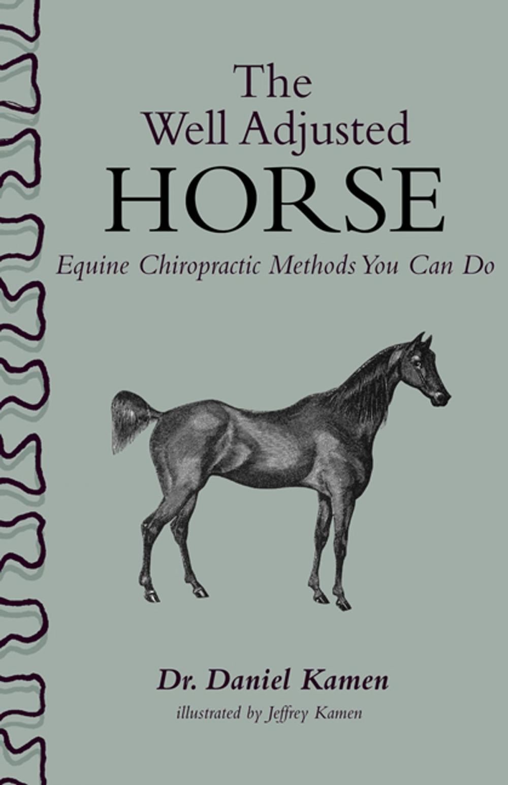 Big bigCover of The Well Adjusted Horse: Equine Chiropractic Methods You Can Do