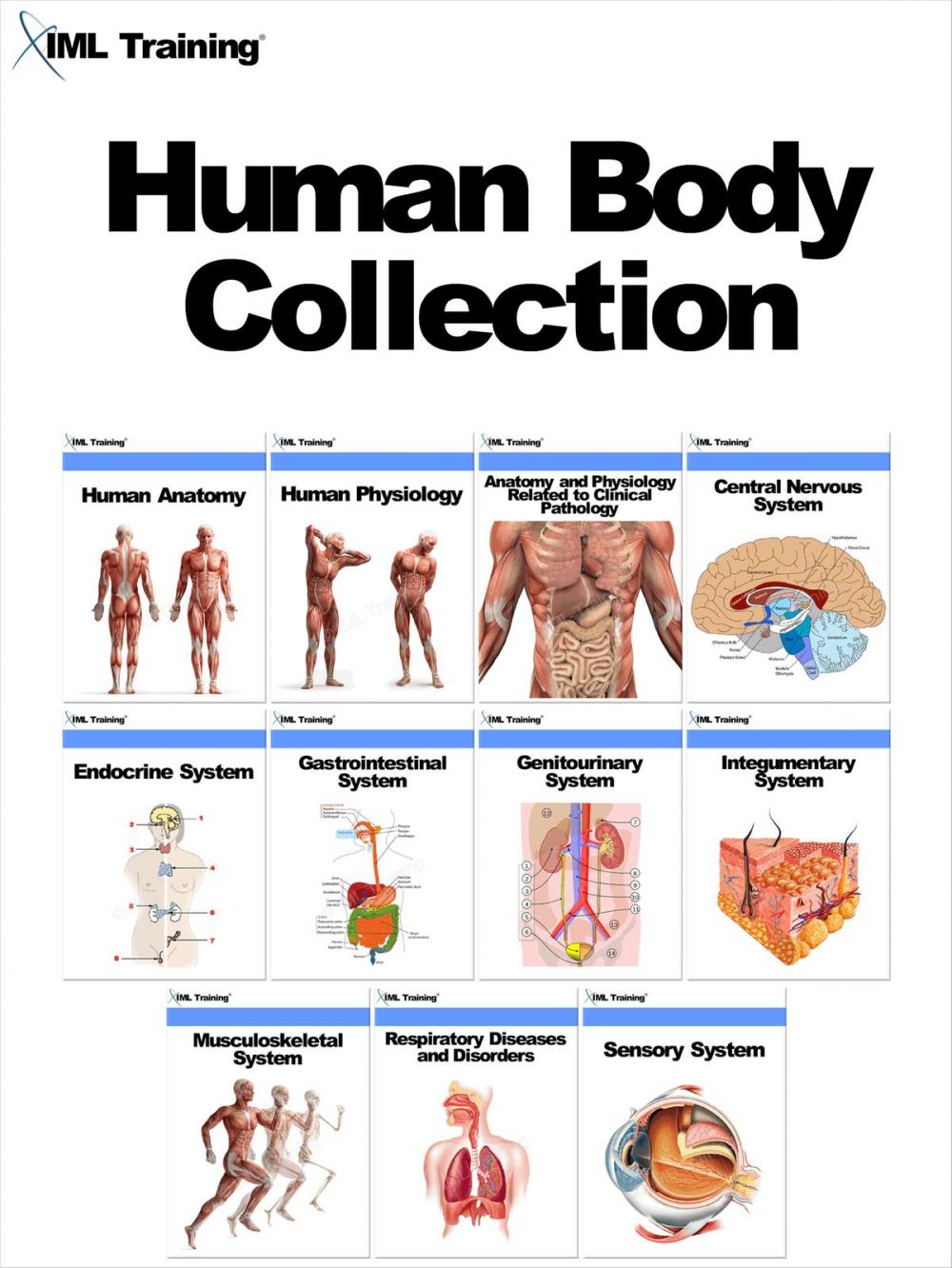 Big bigCover of Human Body Collection