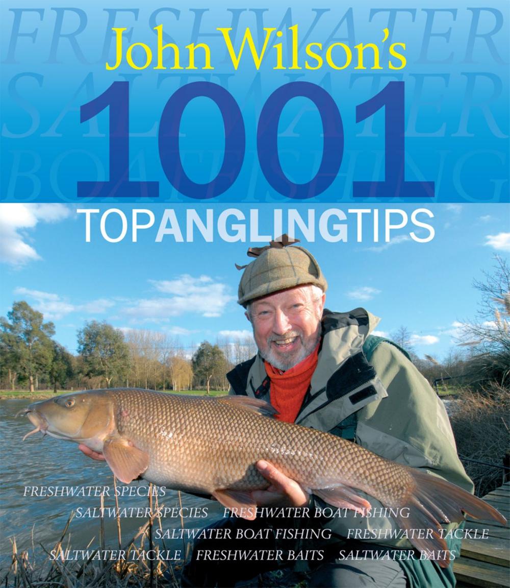 Big bigCover of John Wilson's 1001 Top Angling Tips