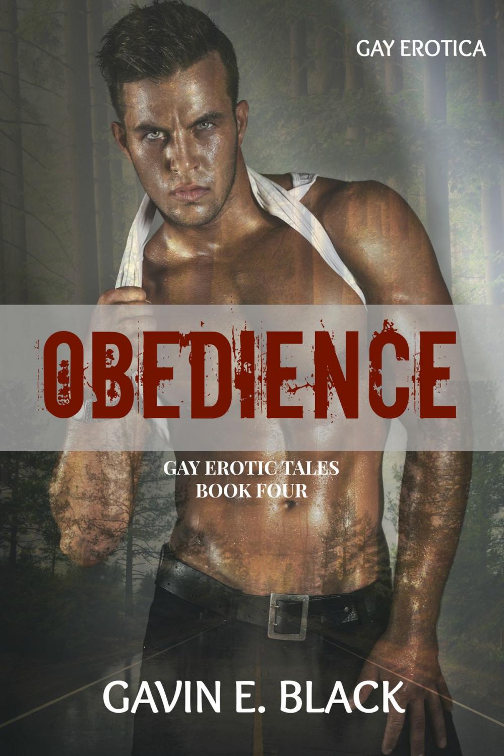 Big bigCover of Obedience: Gay Erotic Tales #4