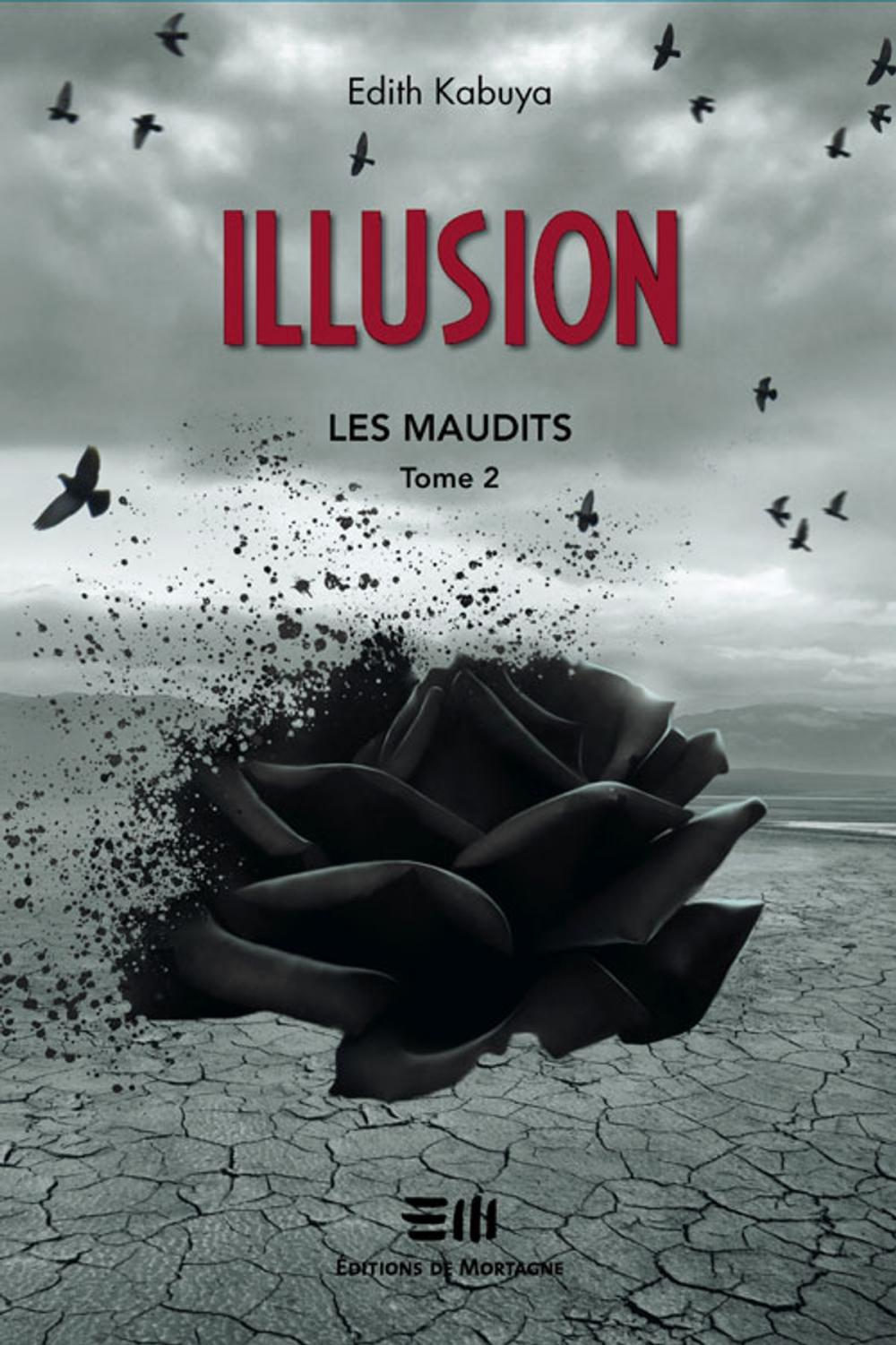 Big bigCover of Illusion : Les maudits 2