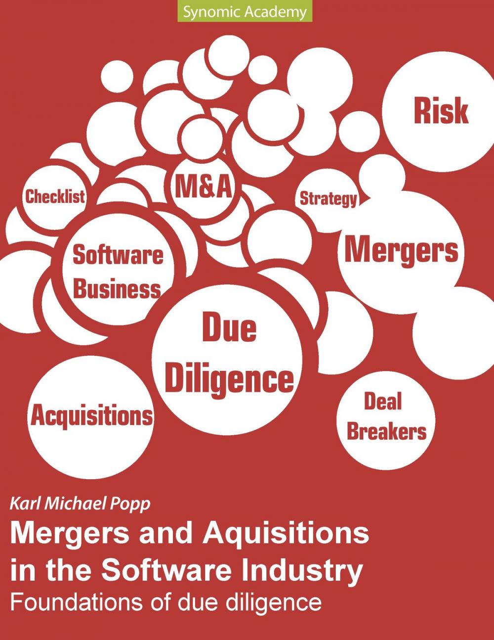Big bigCover of Mergers and Acquisitions in the Software Industry