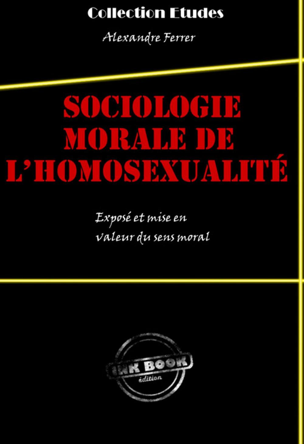 Big bigCover of Sociologie morale de l'homosexualité