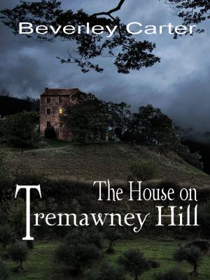 Cover of the book The House on Tremawney Hill by Jacquelyn Smith