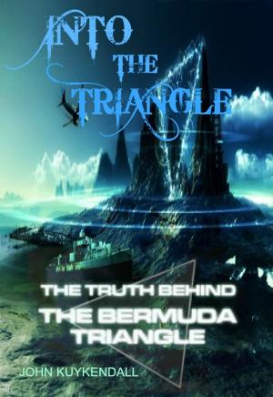 Book cover of Into The Triangle