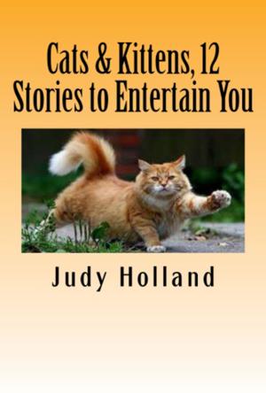 Book cover of Cats & Kittens, 12 Stories to Entertain You