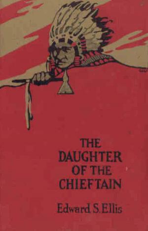 Book cover of The Daughter of the Chieftain The Story of an Indian Girl