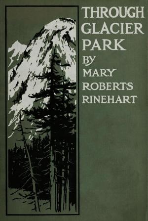 Cover of the book Through Glacier Park by Walter M. Chandler