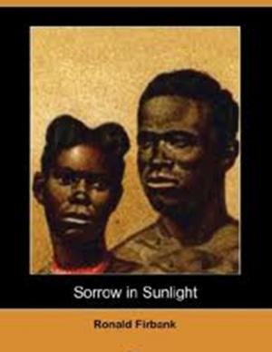 Book cover of Sorrow in Sunlight