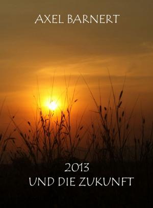 Cover of the book 2013 UND DIE ZUKUNFT by Gracy Yap