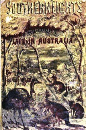 Cover of the book Southern Lights and Shadows by John Buchan