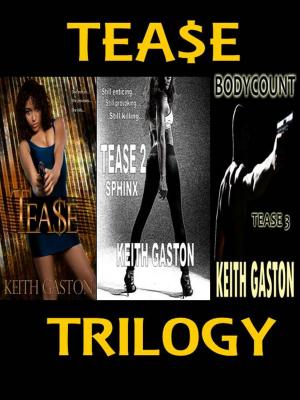 Cover of the book Tease Trilogy by JD Langert