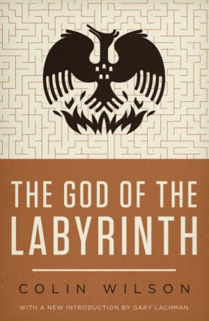 Book cover of The God of the Labyrinth