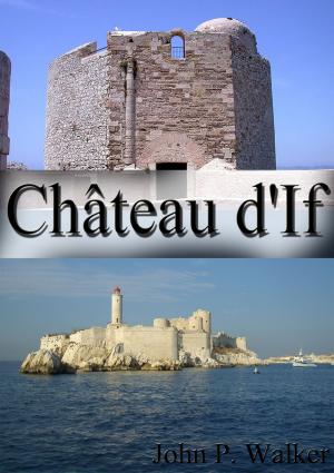 Book cover of Château d'If