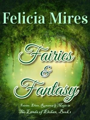 Cover of the book Fairies & Fantasy by Felicia Mires