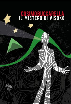 Cover of the book Il mistero di Visoko by T.D. Coltraine