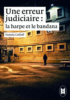 Book cover of Une erreur judiciaire.