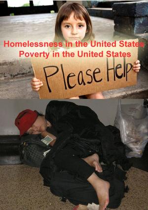 Cover of the book Homelessness in the United States 1095 Pages by Heinz Duthel
