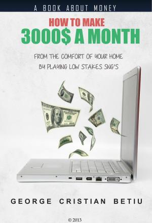 Cover of the book How to make 3000$ per month by Steve Booren