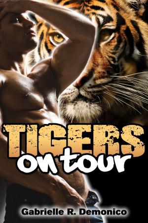 Cover of the book Tigers on Tour by Gabrielle Demonico