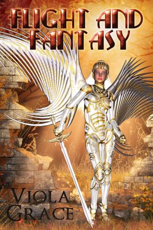 Cover of the book Flight and Fantasy by Jon Bradbury