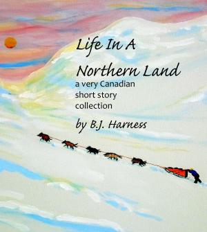 Cover of the book Life In A Northern Land by Dee Ann Palmer