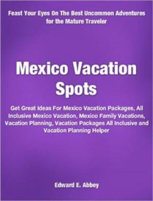 Book cover of Mexico Vacation Spots