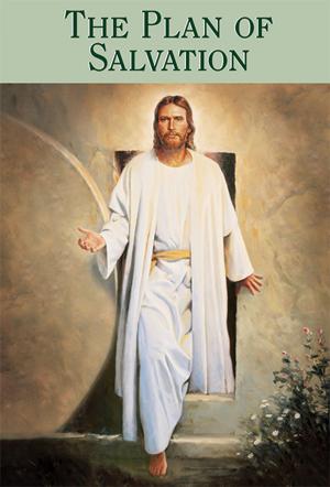 Cover of the book The Plan of Salvation by The Church of Jesus Christ of Latter-day Saints