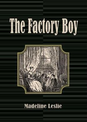 Cover of the book The Factory Boy by Dallas Lore Sharp