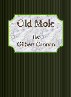 Cover of the book Old Mole by Blanche McManus