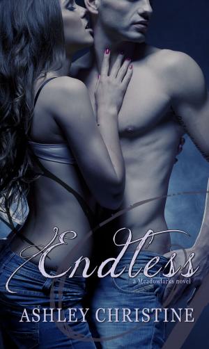 Cover of the book Endless by Erwin VAN COTTHEM