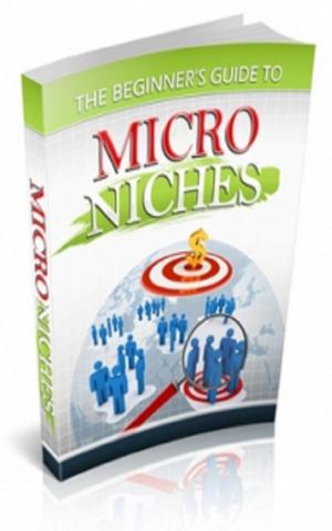 Cover of the book The Beginners Guide To Micro Niches by TANER PERMAN