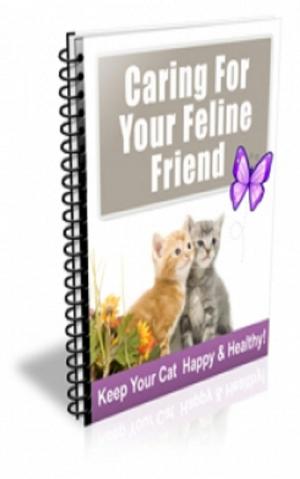 bigCover of the book How To Caring For Your Feline Friend by 