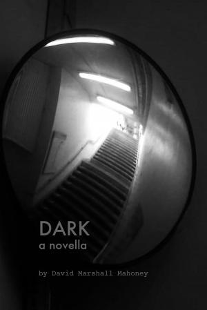 Cover of the book Dark by Giorgio Diaz