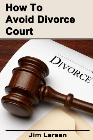 Book cover of How To Avoid Divorce Court