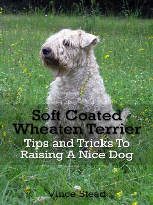 Book cover of Soft Coated Wheaten Terrier Tips and Tricks To Raising A Nice Dog
