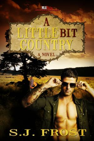 Cover of the book A Little Bit Country by Caenys Kerr