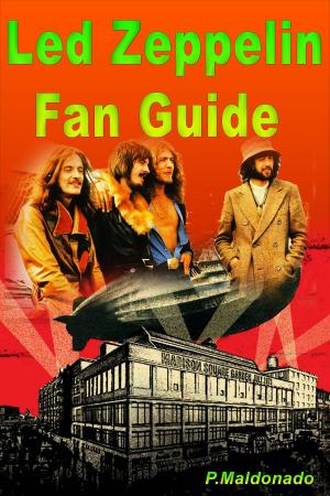 Cover of the book Led Zeppelin Fan Guide by Stefano Demontis