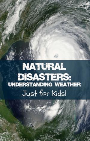 Cover of the book Natural Disasters by BookCaps