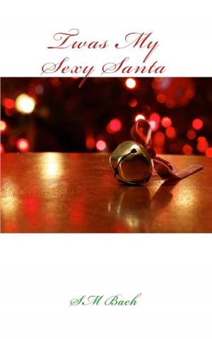 Cover of the book Twas My Sexy santa by Nel Symington