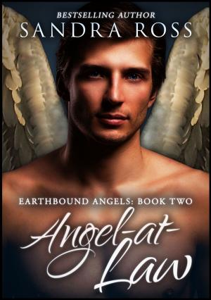 Cover of the book Angel-at-Law (Complete) : Earthbound Angels 2 by Eve Hathaway