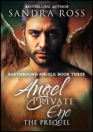 Cover of the book Angel Private Eye: Earthbound Angels 3 The Prequel by Eden Laroux