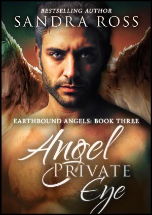 Cover of the book Angel Private Eye (Complete): Earthbound Angels 3 by Chauntelle Baughman