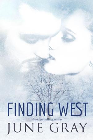 Book cover of Finding West