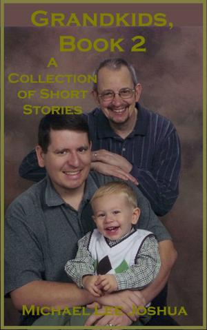 Cover of the book Grandkids, Book 2 by Jimmy Evans