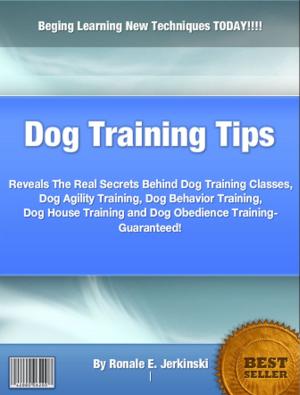Cover of the book Dog Training Tips by Mary J. Szymanski